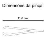 pinca-comum-4-dimensoes