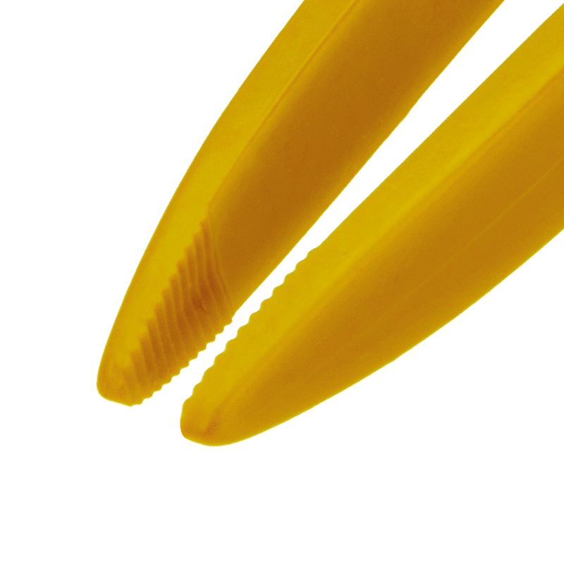 Pinca-amarela-comum