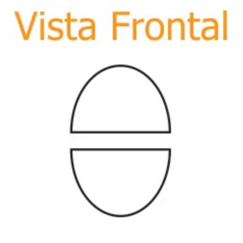 Vista-frontal
