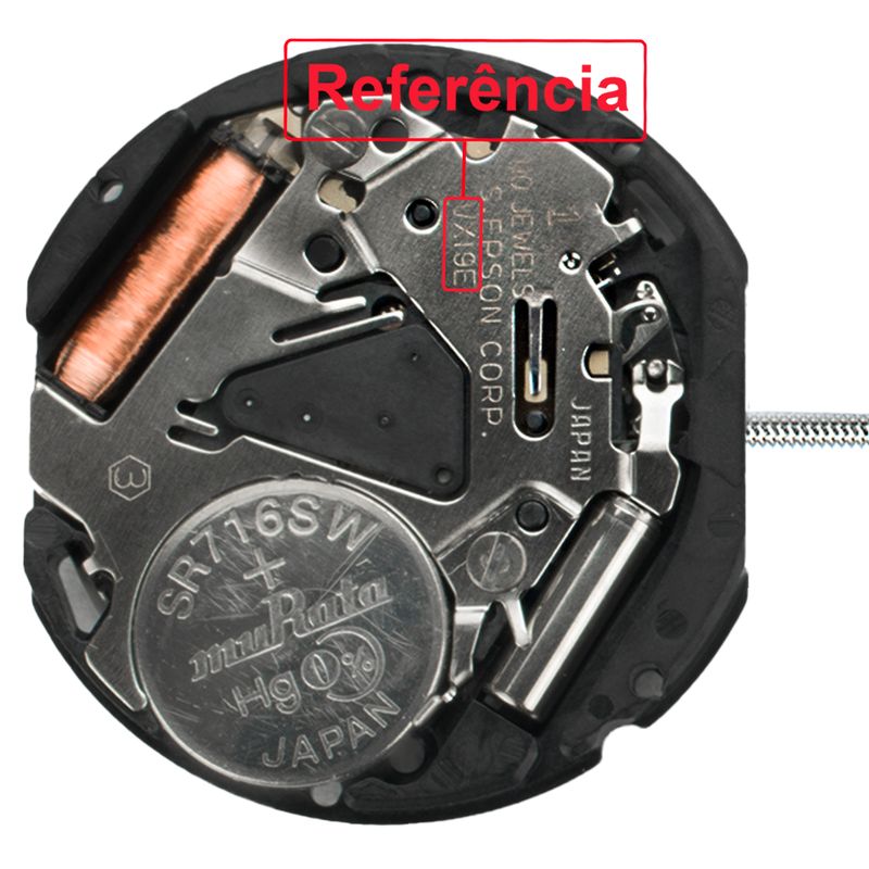 VX19