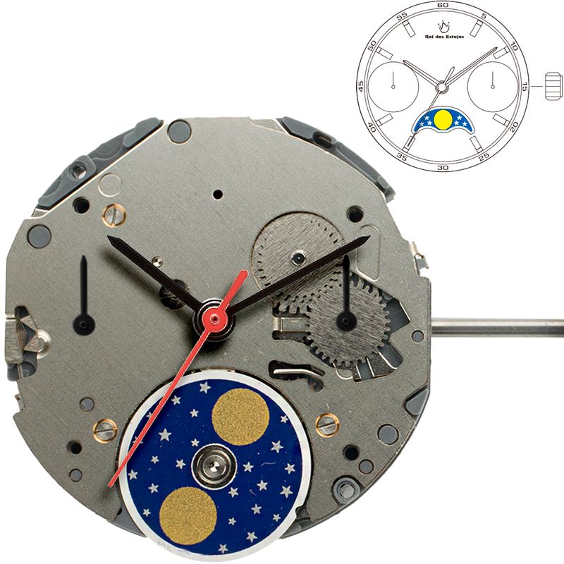 Myota-6P20
